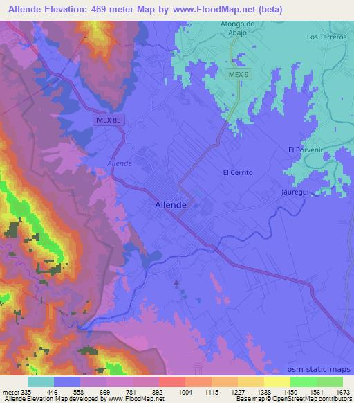 Allende,Mexico Elevation Map