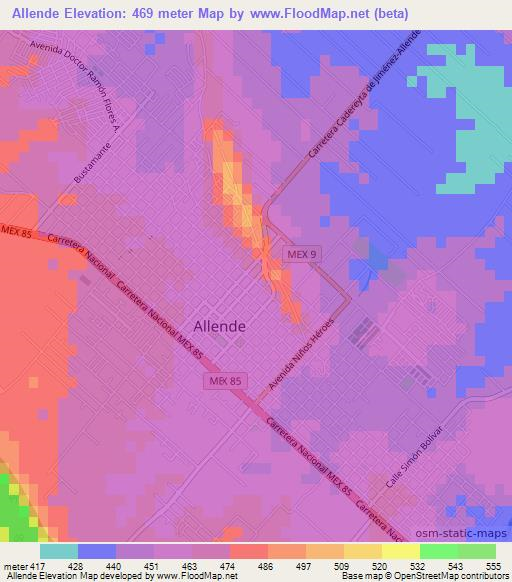 Allende,Mexico Elevation Map