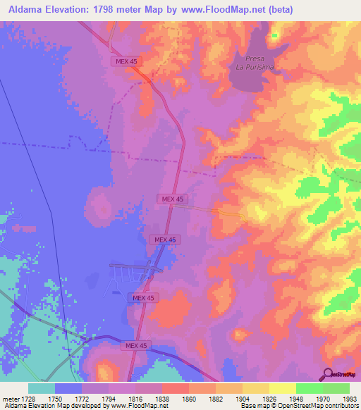 Aldama,Mexico Elevation Map