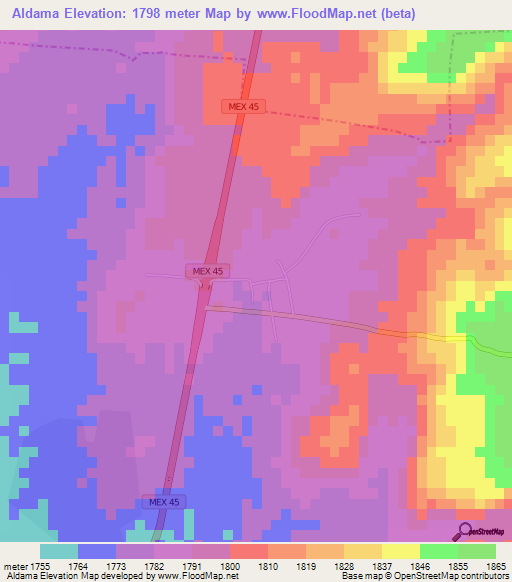 Aldama,Mexico Elevation Map