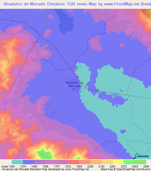 Ahualulco de Mercado,Mexico Elevation Map