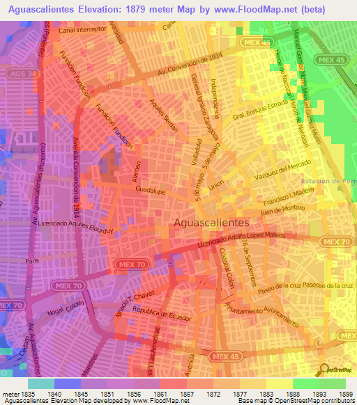 Aguascalientes,Mexico Elevation Map