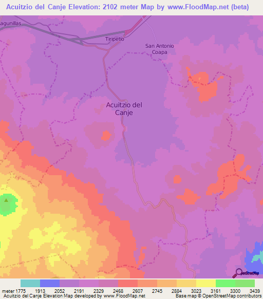 Acuitzio del Canje,Mexico Elevation Map