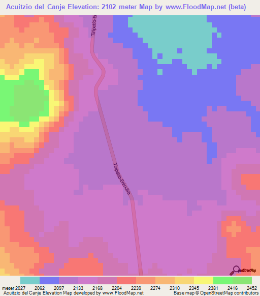 Acuitzio del Canje,Mexico Elevation Map