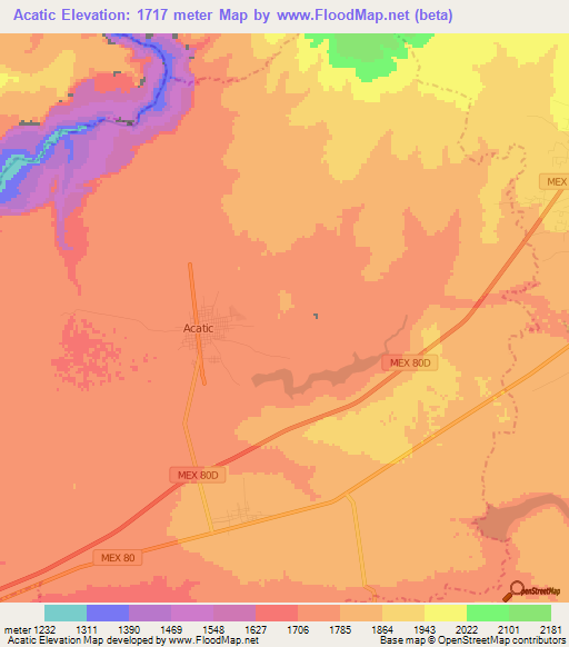 Acatic,Mexico Elevation Map