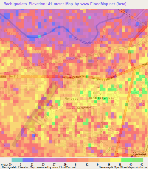 Bachigualato,Mexico Elevation Map