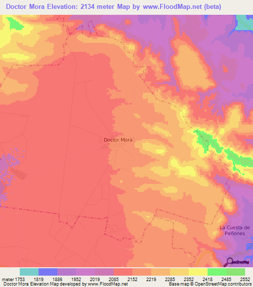 Doctor Mora,Mexico Elevation Map