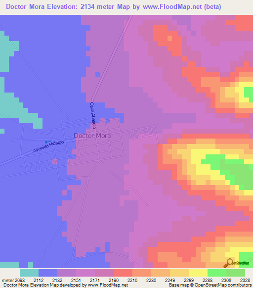 Doctor Mora,Mexico Elevation Map