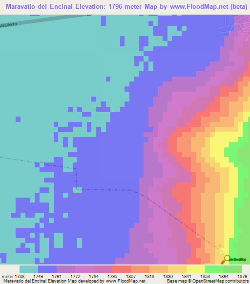 Maravatio del Encinal,Mexico Elevation Map