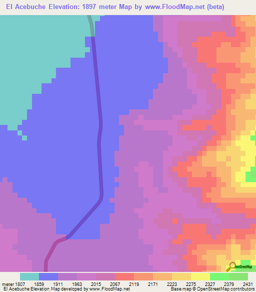 El Acebuche,Mexico Elevation Map