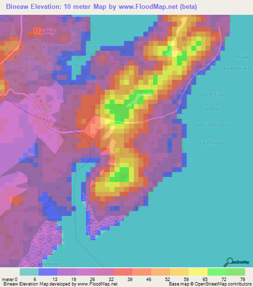 Bineaw,Micronesia Elevation Map