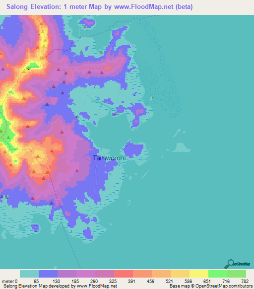 Salong,Micronesia Elevation Map