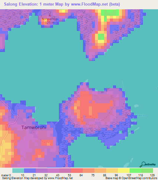 Salong,Micronesia Elevation Map