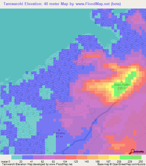 Tamwarohi,Micronesia Elevation Map