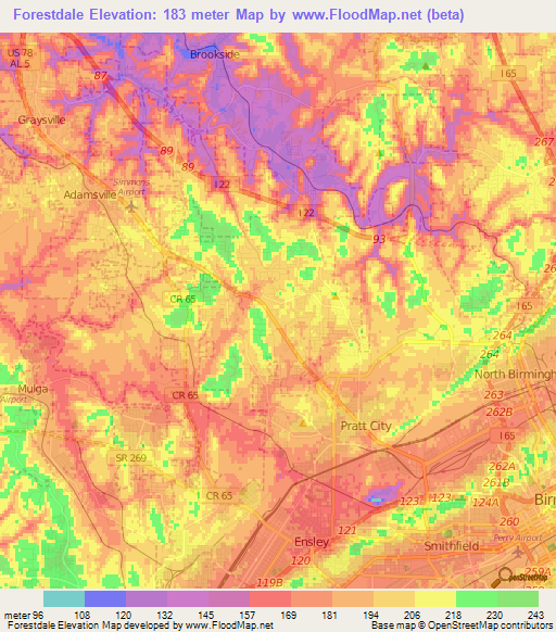 Forestdale,US Elevation Map