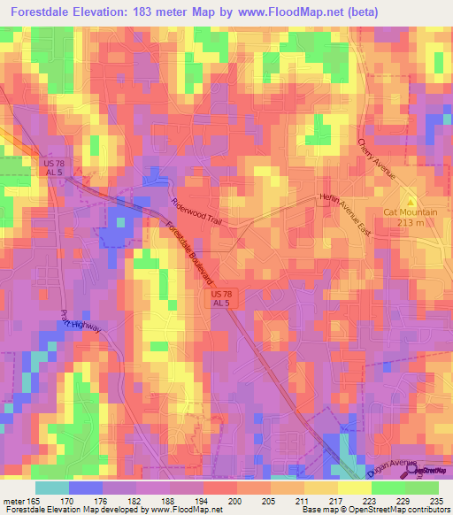 Forestdale,US Elevation Map