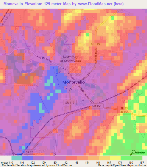 Montevallo,US Elevation Map