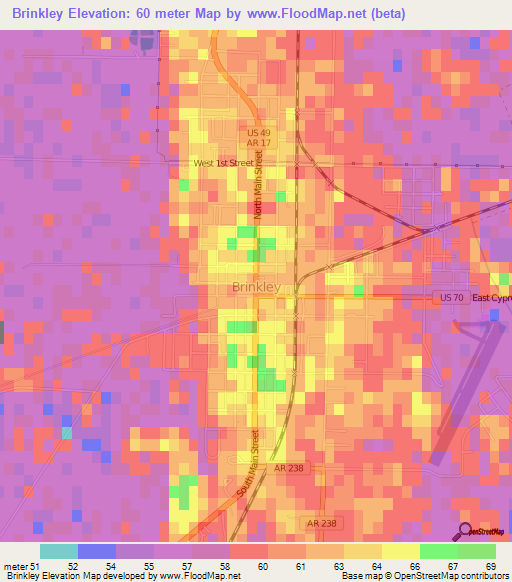 Brinkley,US Elevation Map