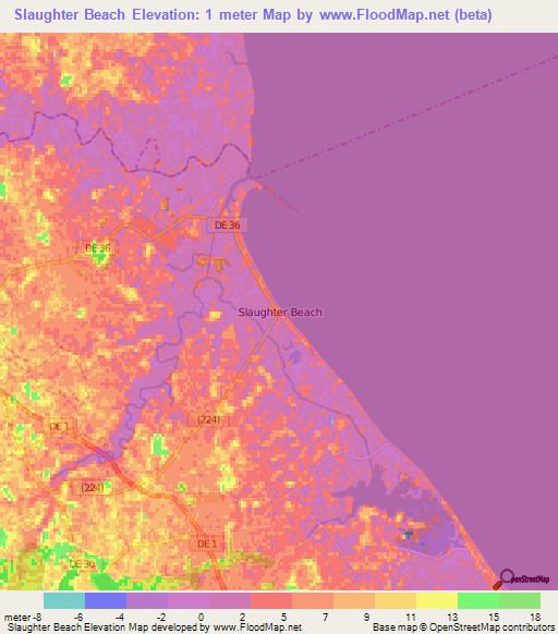 Slaughter Beach,US Elevation Map