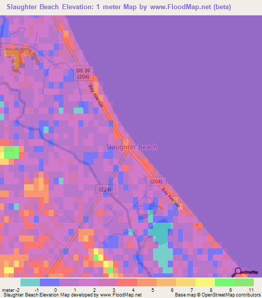 Slaughter Beach,US Elevation Map