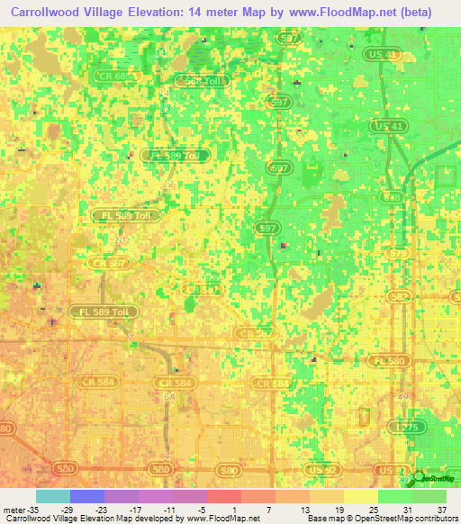 Carrollwood Village,US Elevation Map