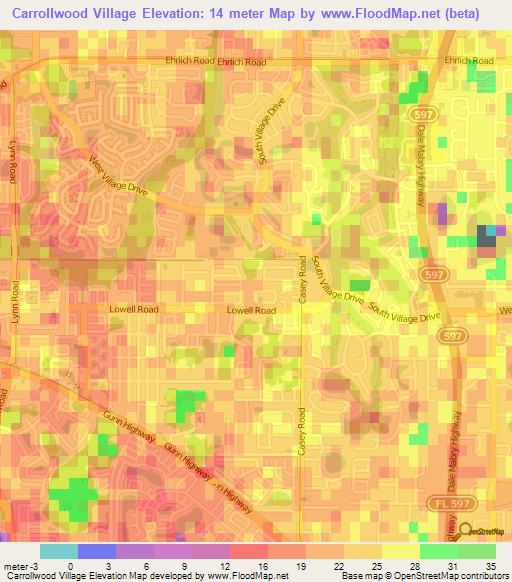 Carrollwood Village,US Elevation Map