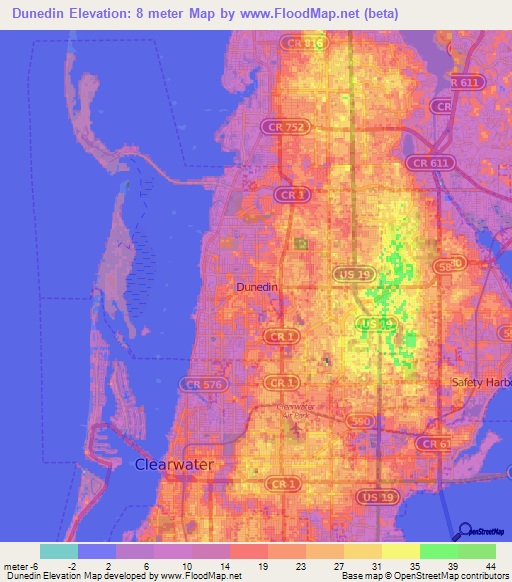 Dunedin,US Elevation Map