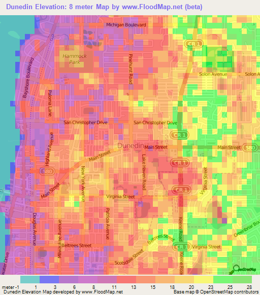 Dunedin,US Elevation Map