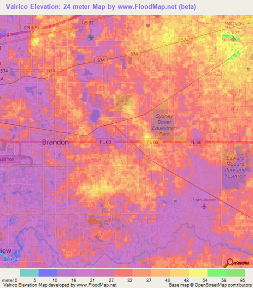 Valrico,US Elevation Map