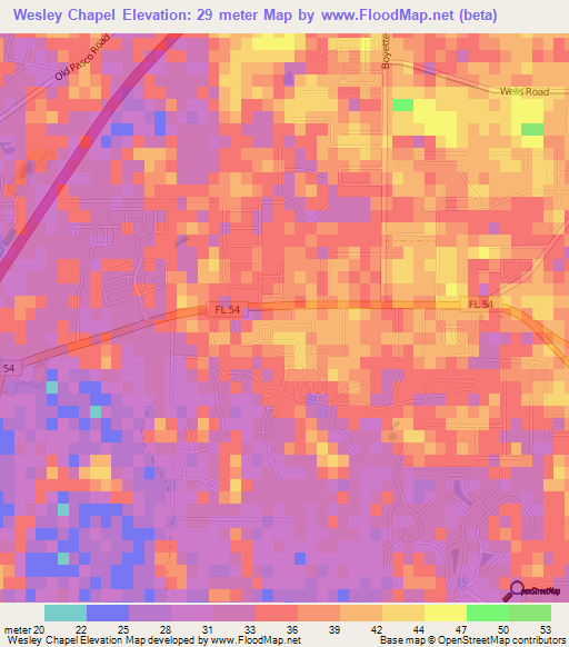 Wesley Chapel,US Elevation Map