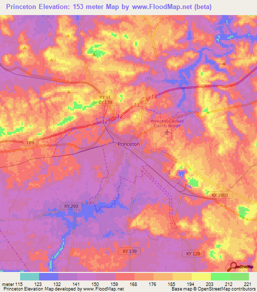 Princeton,US Elevation Map