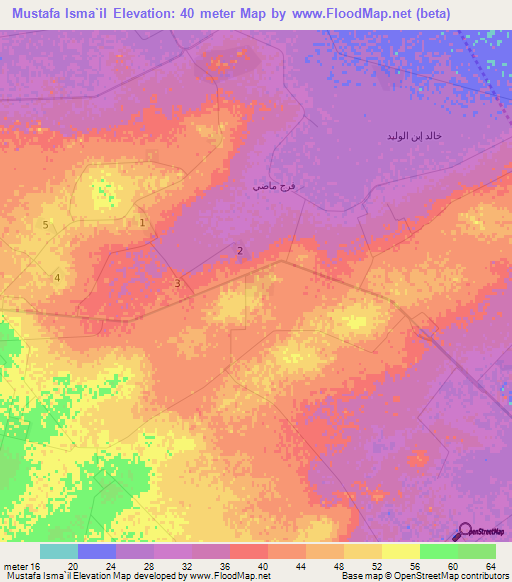 Mustafa Isma`il,Egypt Elevation Map