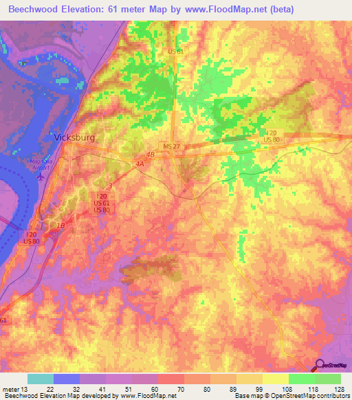 Beechwood,US Elevation Map