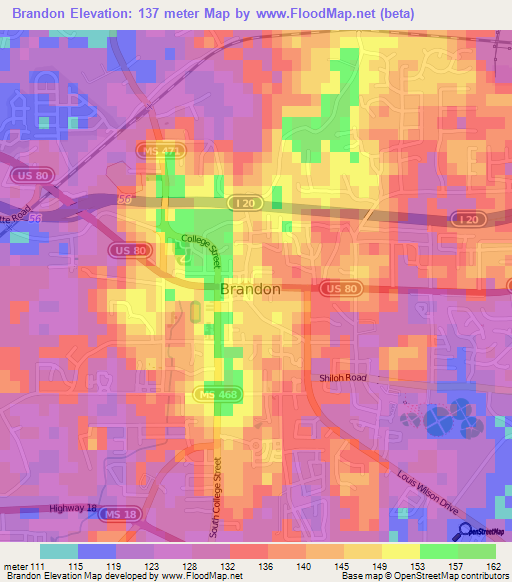 Brandon,US Elevation Map