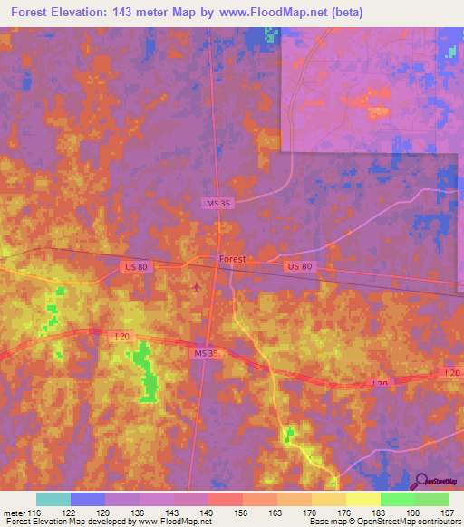 Forest,US Elevation Map