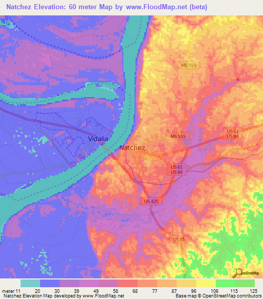 Natchez,US Elevation Map