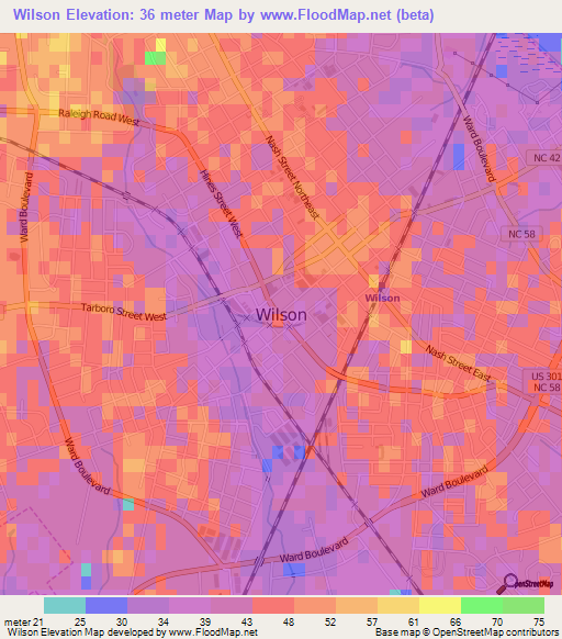 Wilson,US Elevation Map