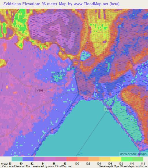 Zvidziena,Latvia Elevation Map