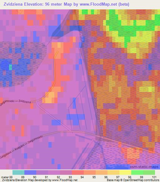 Zvidziena,Latvia Elevation Map