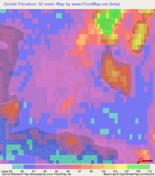 Zarinki,Latvia Elevation Map