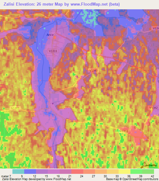 Zalisi,Latvia Elevation Map