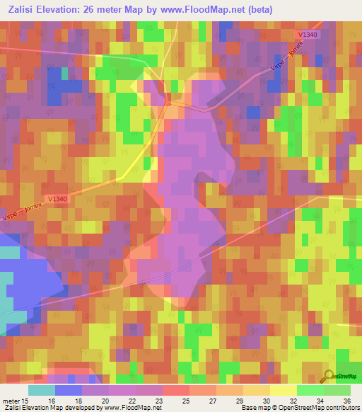 Zalisi,Latvia Elevation Map