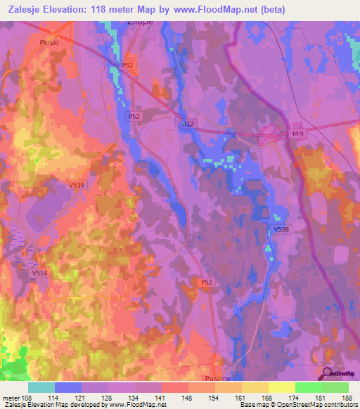 Zalesje,Latvia Elevation Map