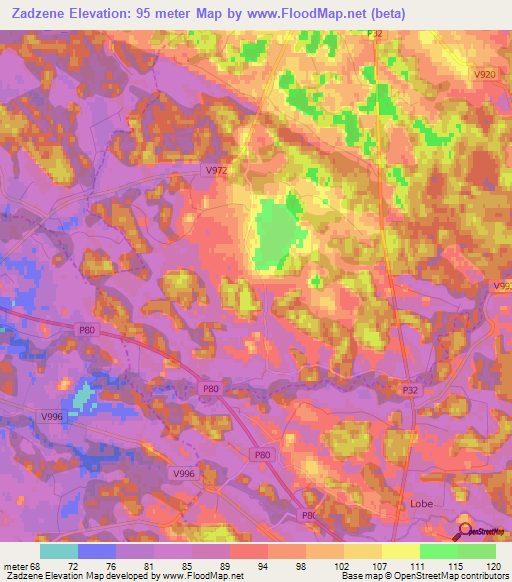 Zadzene,Latvia Elevation Map