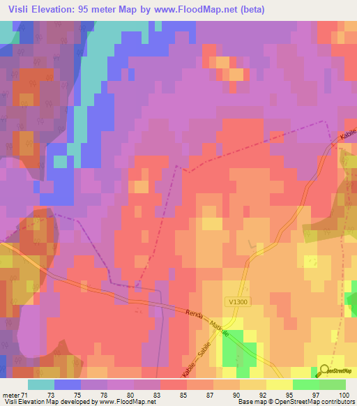 Visli,Latvia Elevation Map