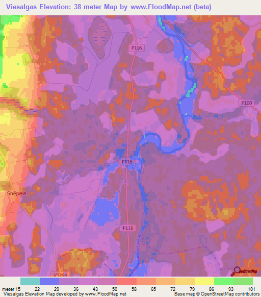 Viesalgas,Latvia Elevation Map