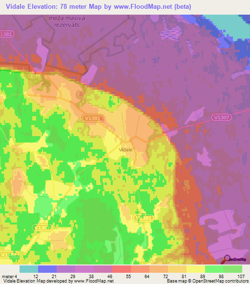 Vidale,Latvia Elevation Map