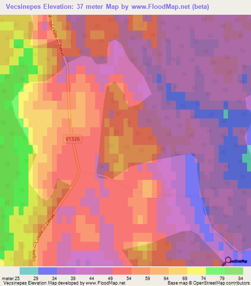 Vecsinepes,Latvia Elevation Map