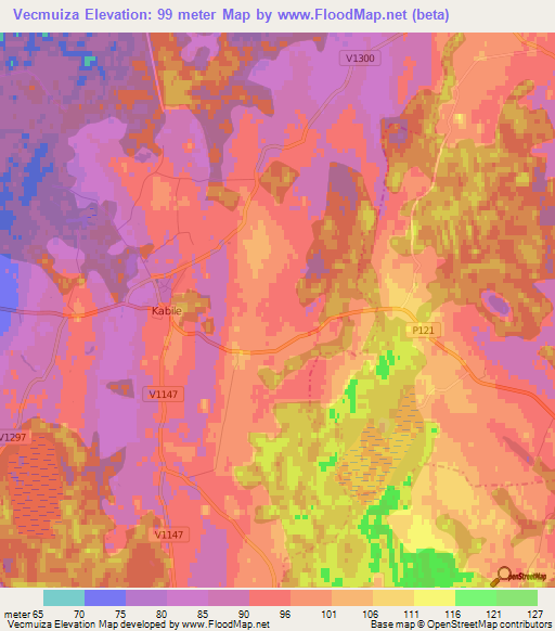 Vecmuiza,Latvia Elevation Map