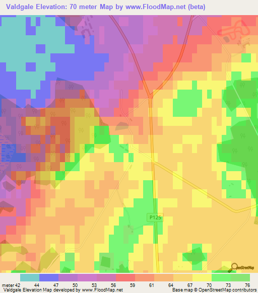 Valdgale,Latvia Elevation Map